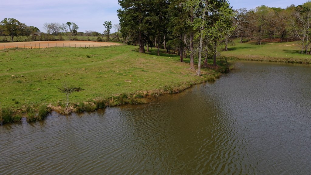 369 Bud Gary Road Clayton, AL 36016 - Photo 6 of 42