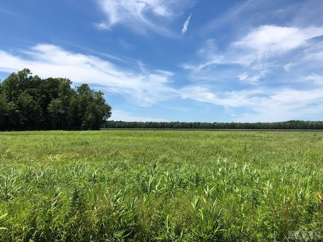 248 Thick Neck Road Edenton, NC 27932 - Photo 3 of 3