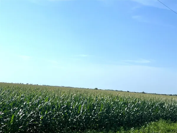 a view of yard and mountain view