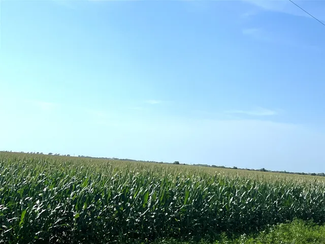 a view of yard and mountain view