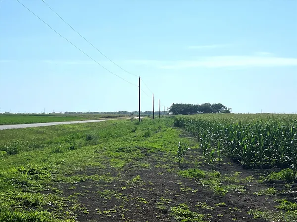 a view of a green field