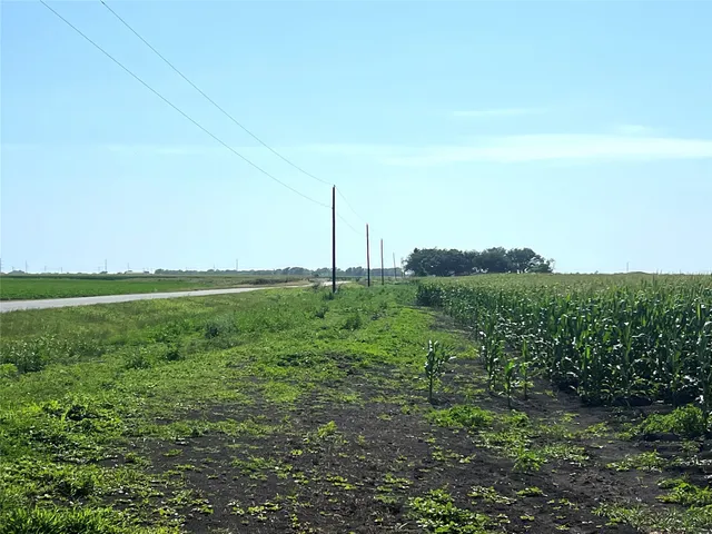 a view of a green field