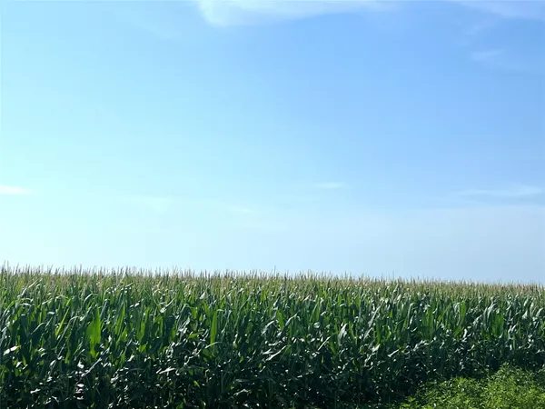 a view of a field