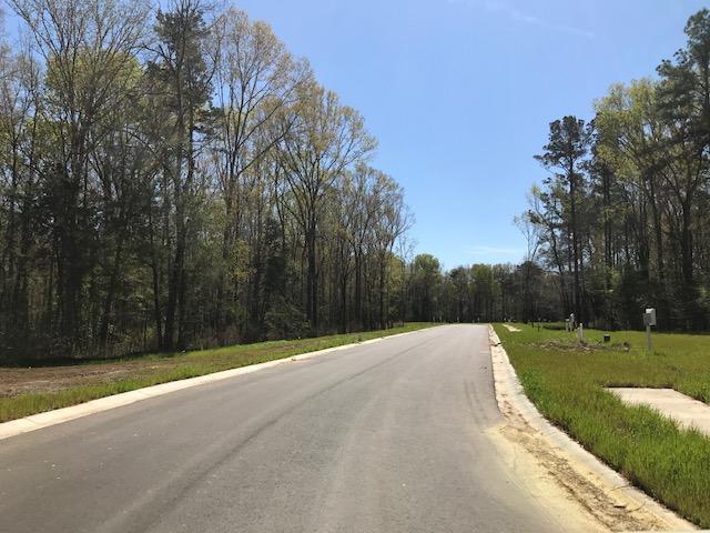 126 Boots Branch Road Summerville, SC 29485 - Photo 21 of 34 4