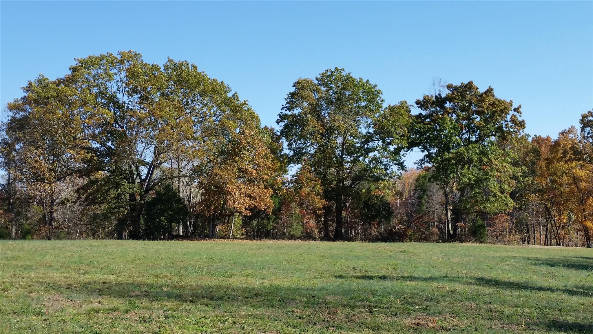6 Rose Ridge Fairview, TN 37062 - Photo 1 of 14 a big yard with lots of trees