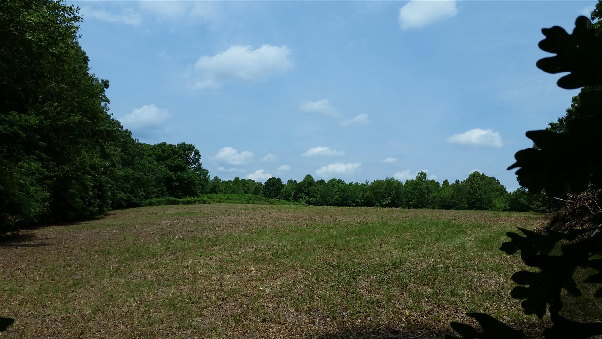 6 Rose Ridge Fairview, TN 37062 - Photo 11 of 14 a view of a field with trees in the background