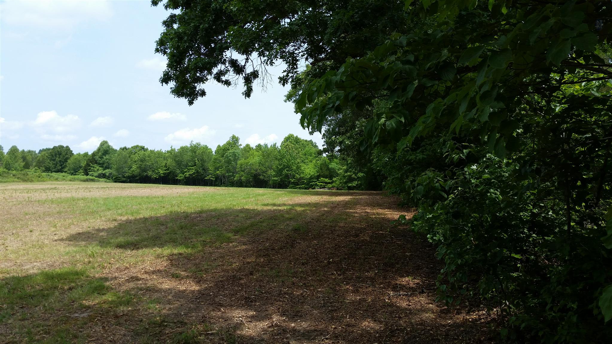 6 Rose Ridge Fairview, TN 37062 - Photo 12 of 14 a view of outdoor space and yard