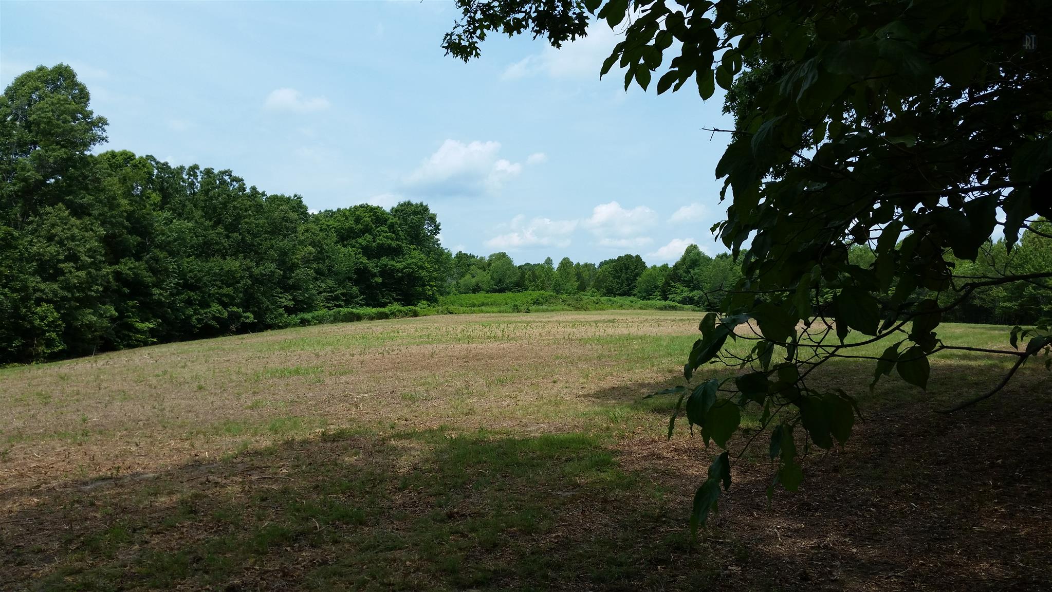 6 Rose Ridge Fairview, TN 37062 - Photo 14 of 14 a view of outdoor space and yard