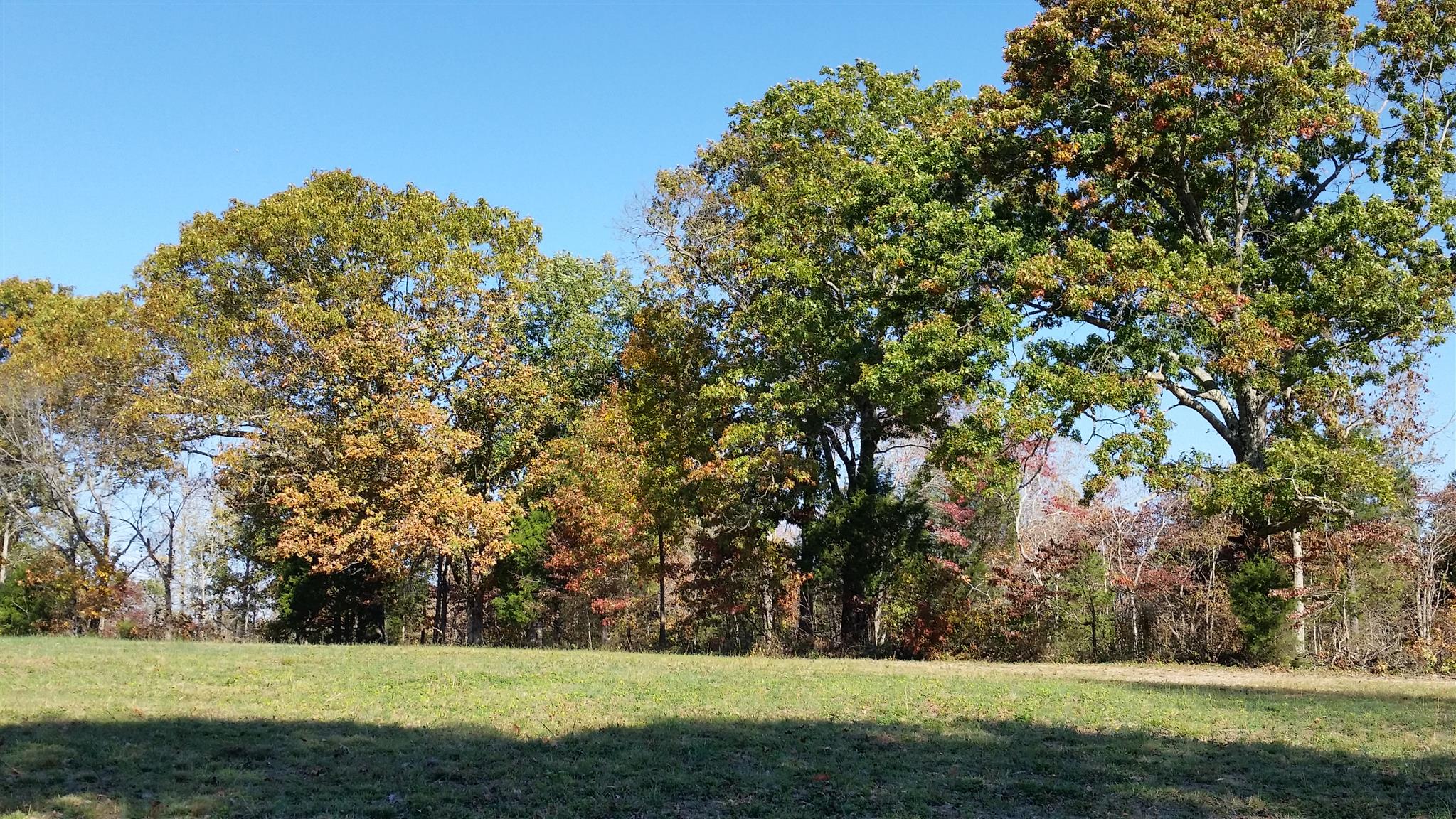 6 Rose Ridge Fairview, TN 37062 - Photo 2 of 14 a view of garden