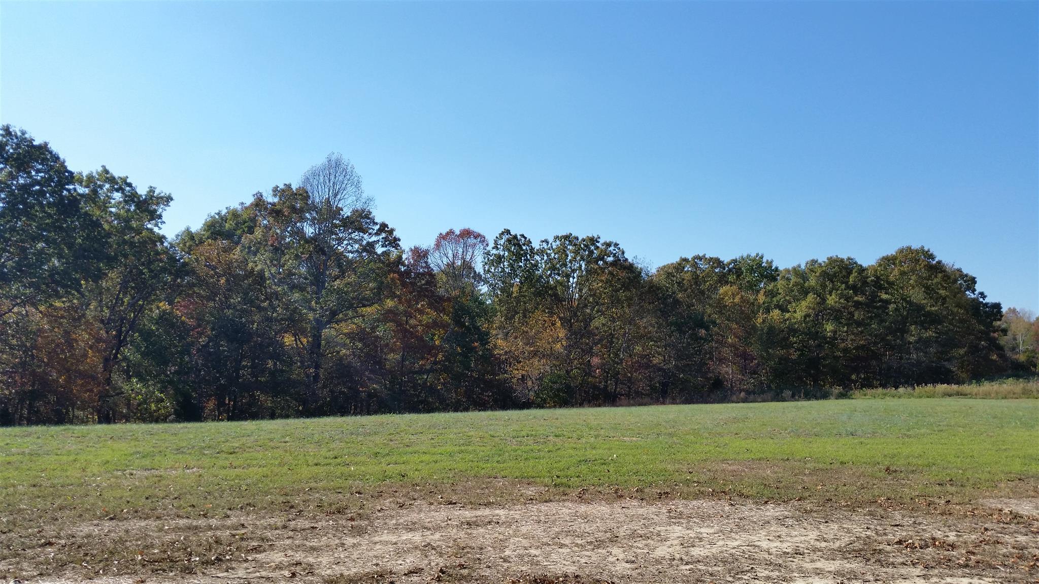 6 Rose Ridge Fairview, TN 37062 - Photo 3 of 14 a view of a field with a tree in the background