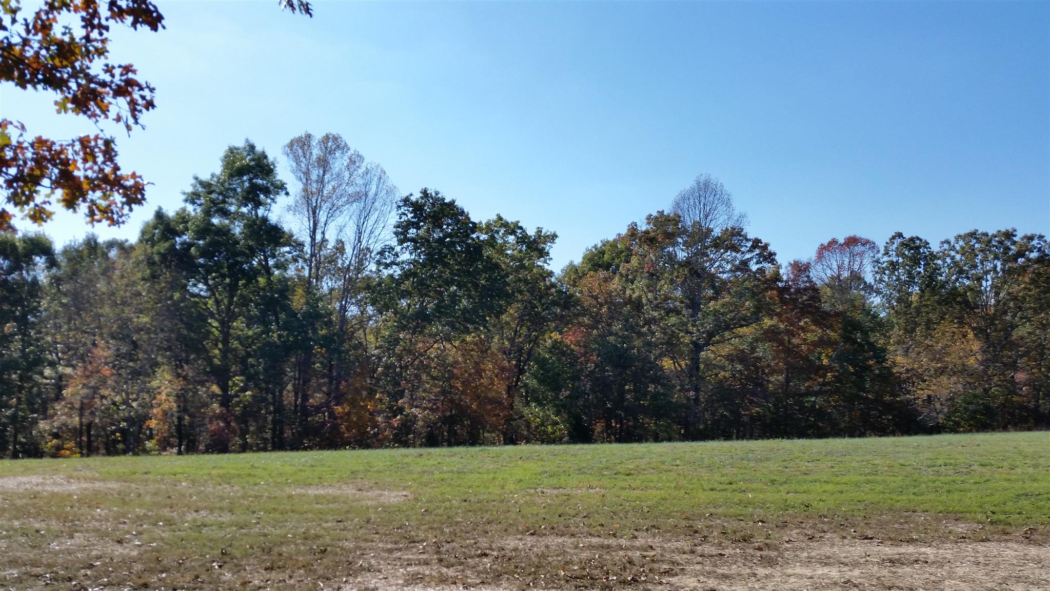 6 Rose Ridge Fairview, TN 37062 - Photo 6 of 14 a view of a field with trees in the background