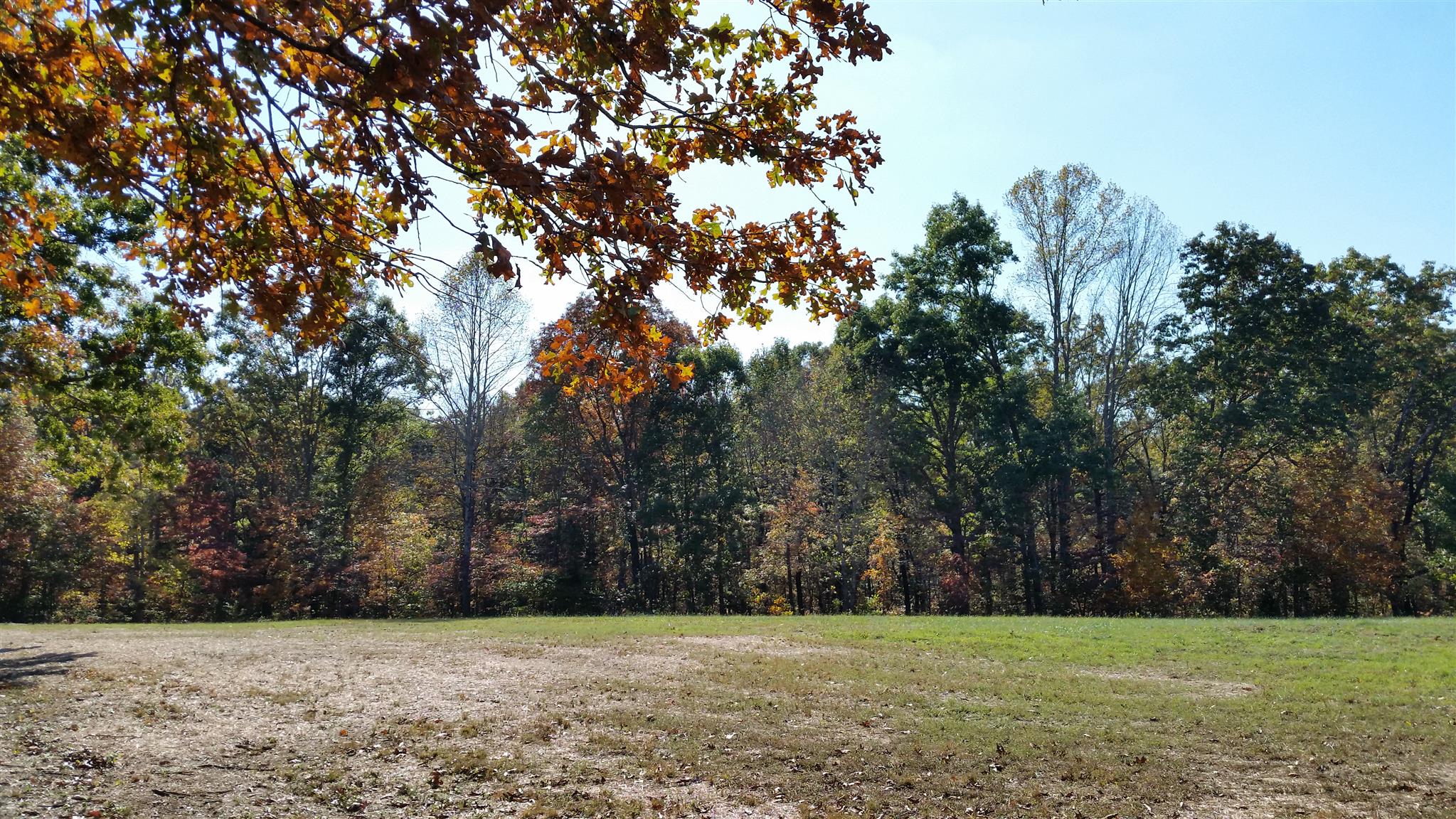 6 Rose Ridge Fairview, TN 37062 - Photo 7 of 14 a view of a trees with a trees in the background