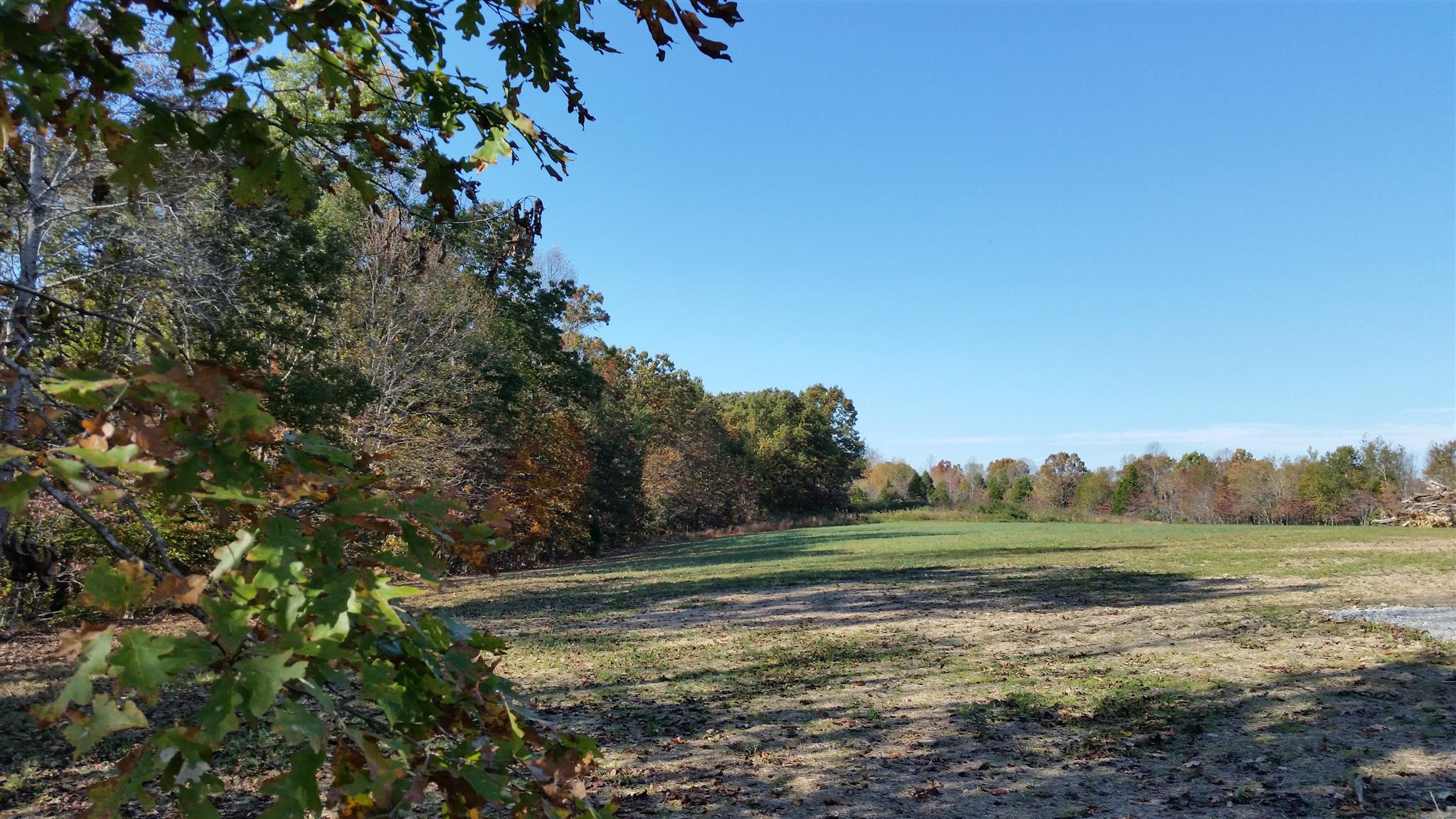 6 Rose Ridge Fairview, TN 37062 - Photo 8 of 14 a view of a grassy area with an trees