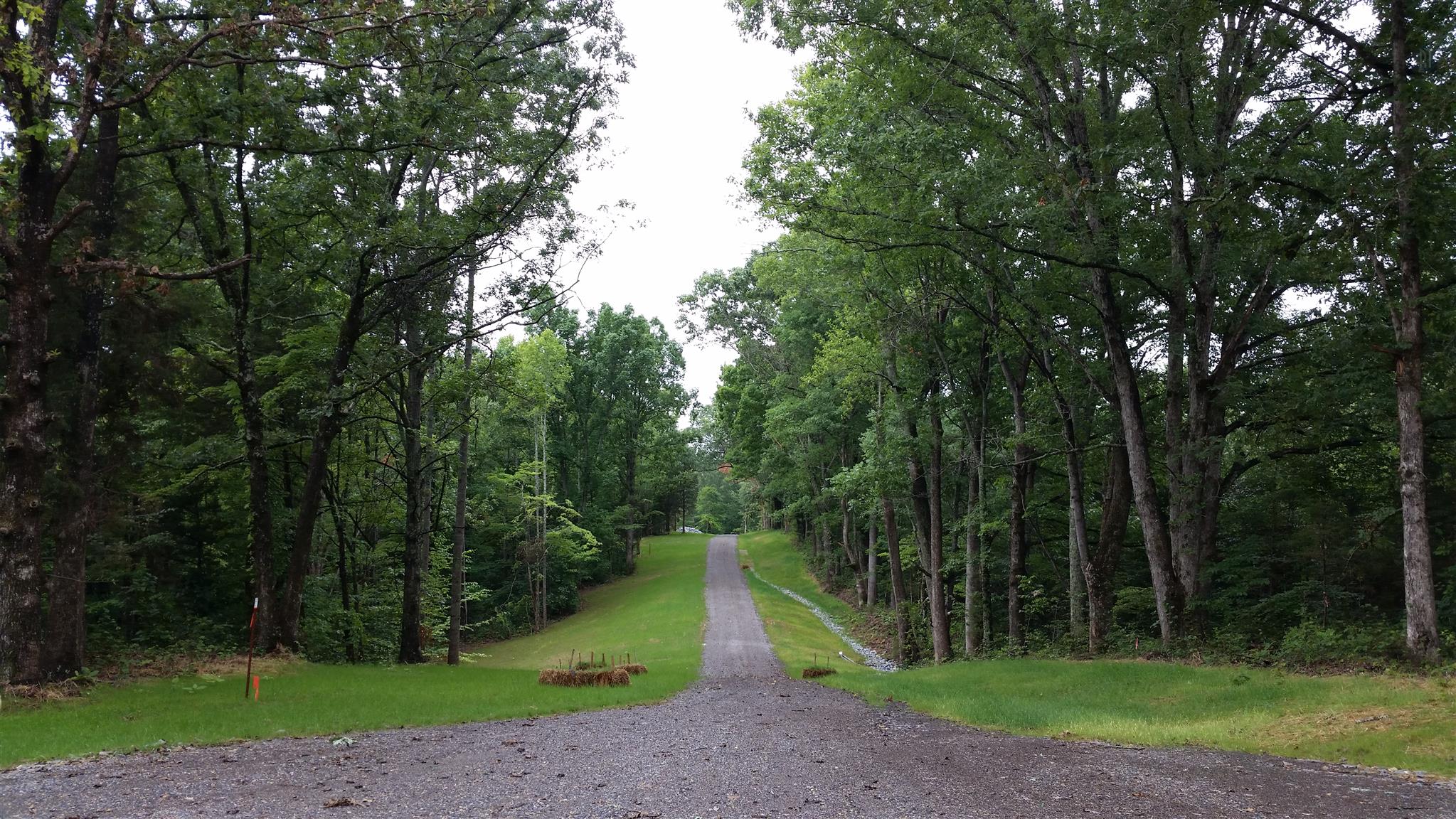 6 Rose Ridge Fairview, TN 37062 - Photo 9 of 14 a view of a park