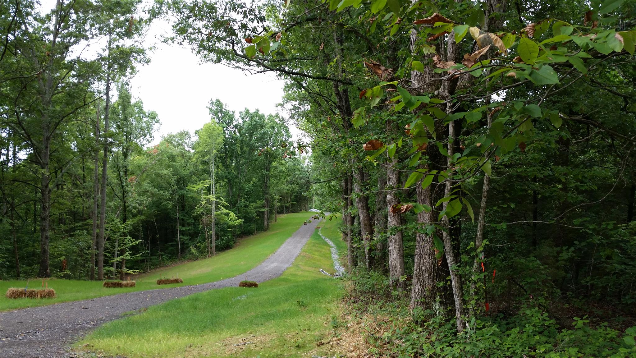 6 Rose Ridge Fairview, TN 37062 - Photo 10 of 14 a view of a garden with a slide