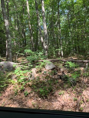 0 Harris Road Ashburnham, MA 01430 - Photo 4 of 5 Gallery Image 4