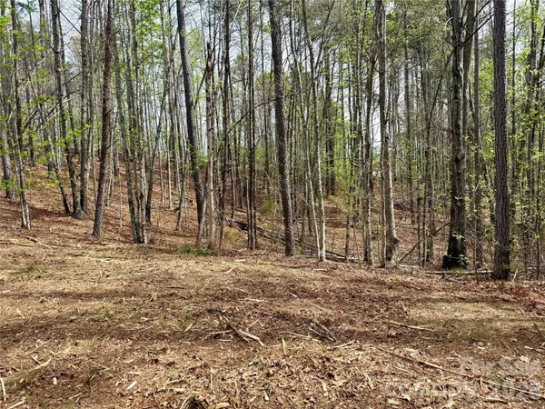 a view of outdoor space with sliding trees