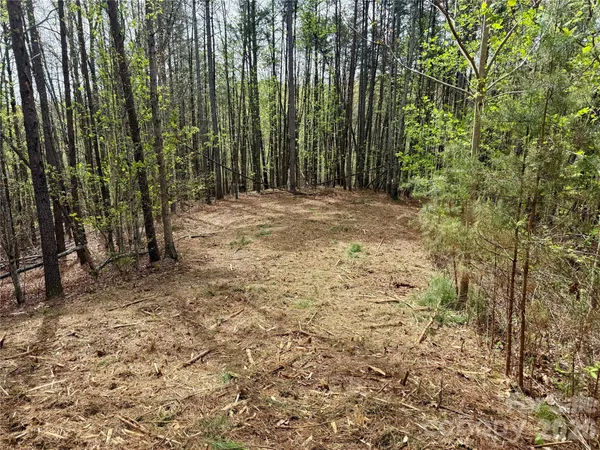 a view of wooden and trees