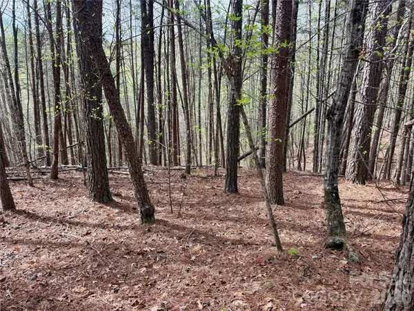 a backyard of a house with lots of tall trees