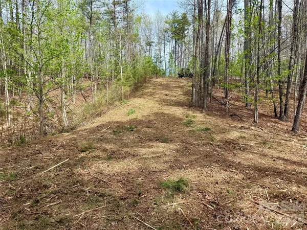 a view of a yard with trees in the background