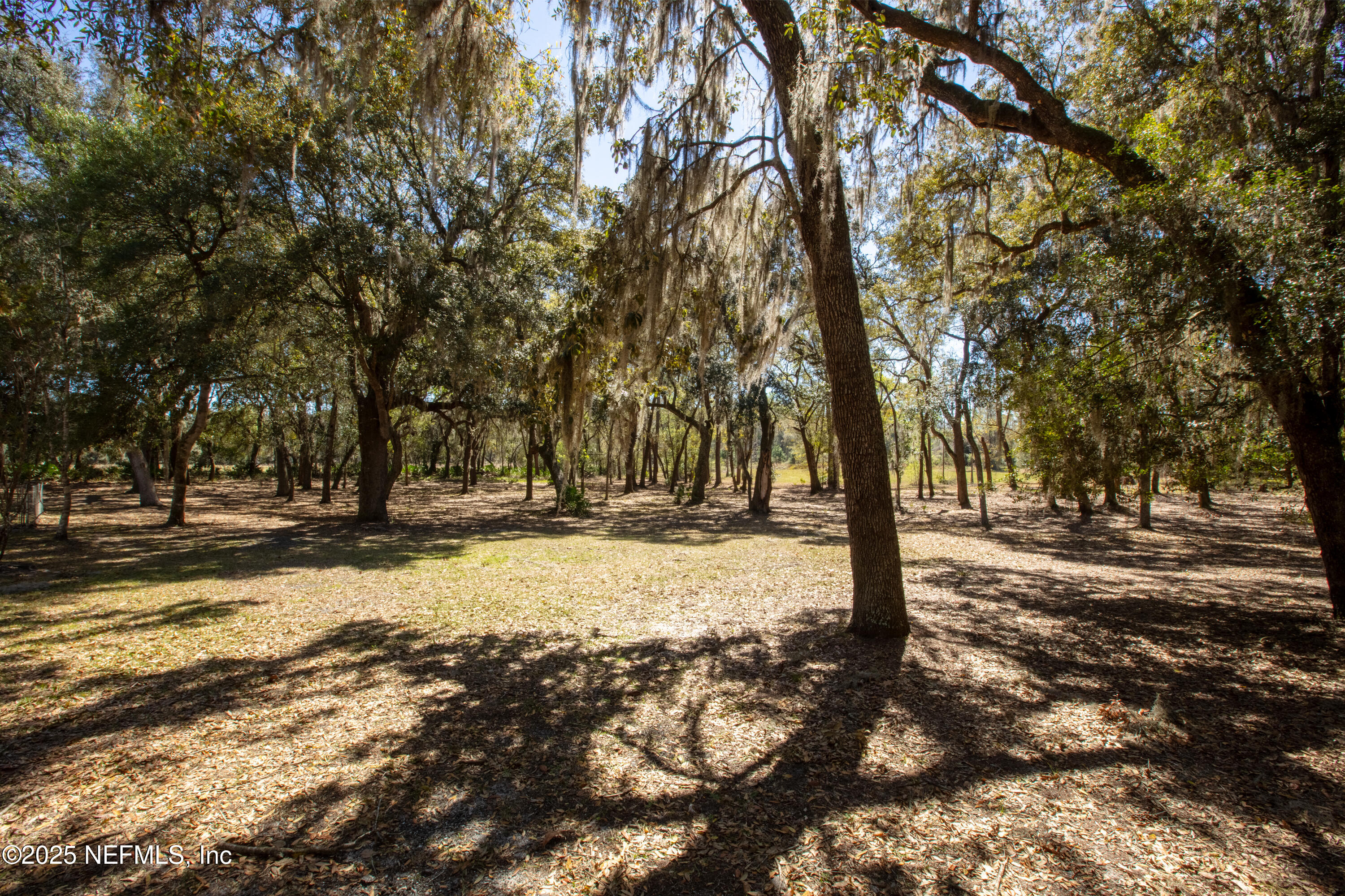 163 Boots Road Melrose, FL 32666 - Photo 82 of 84 BootsRd_MLS-21