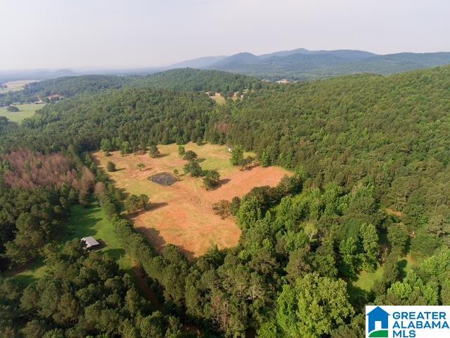 0 Stone Ridge Trail, Unit 50 87 Anniston, AL 36207 - Photo 1 of 15