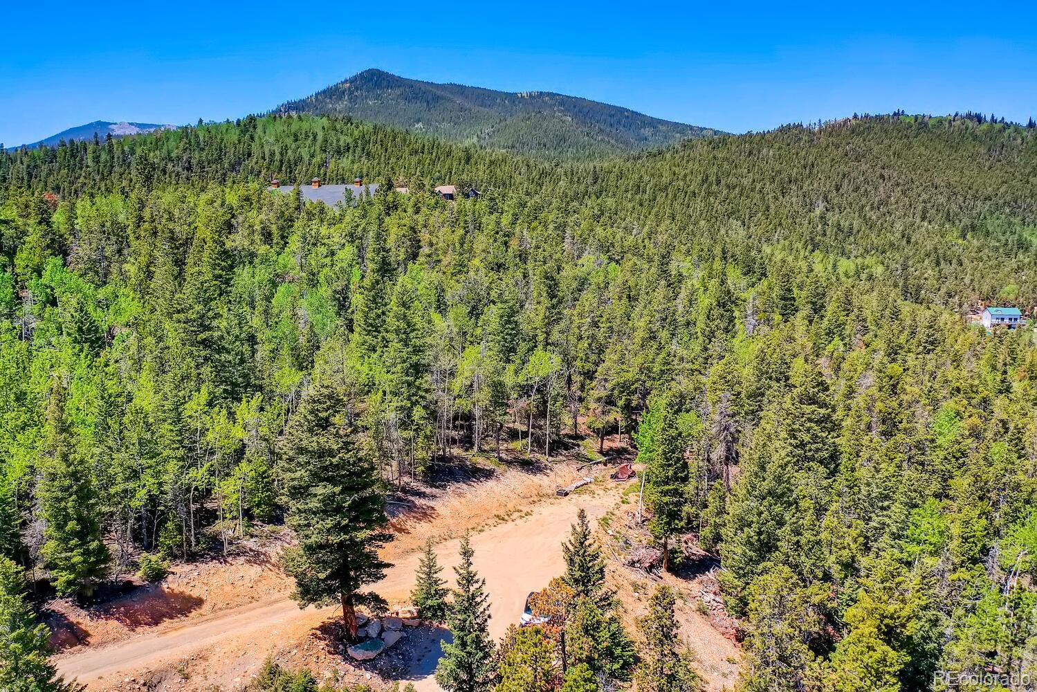 3783 Beaver Brook Canyon Road Evergreen, CO 80439 - Photo 10 of 23