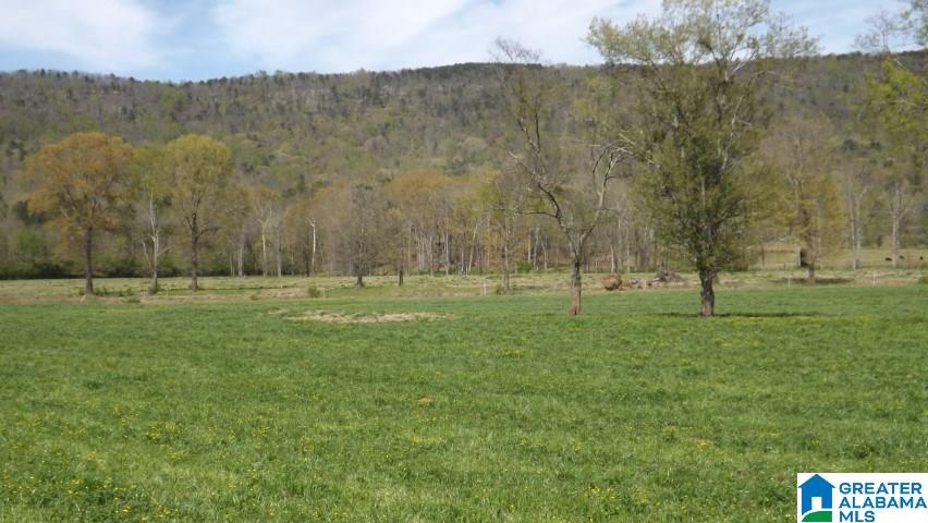 0 Gallant Road, Unit 40 Steele, AL 35987 - Photo 7 of 34 Gallery Image 7