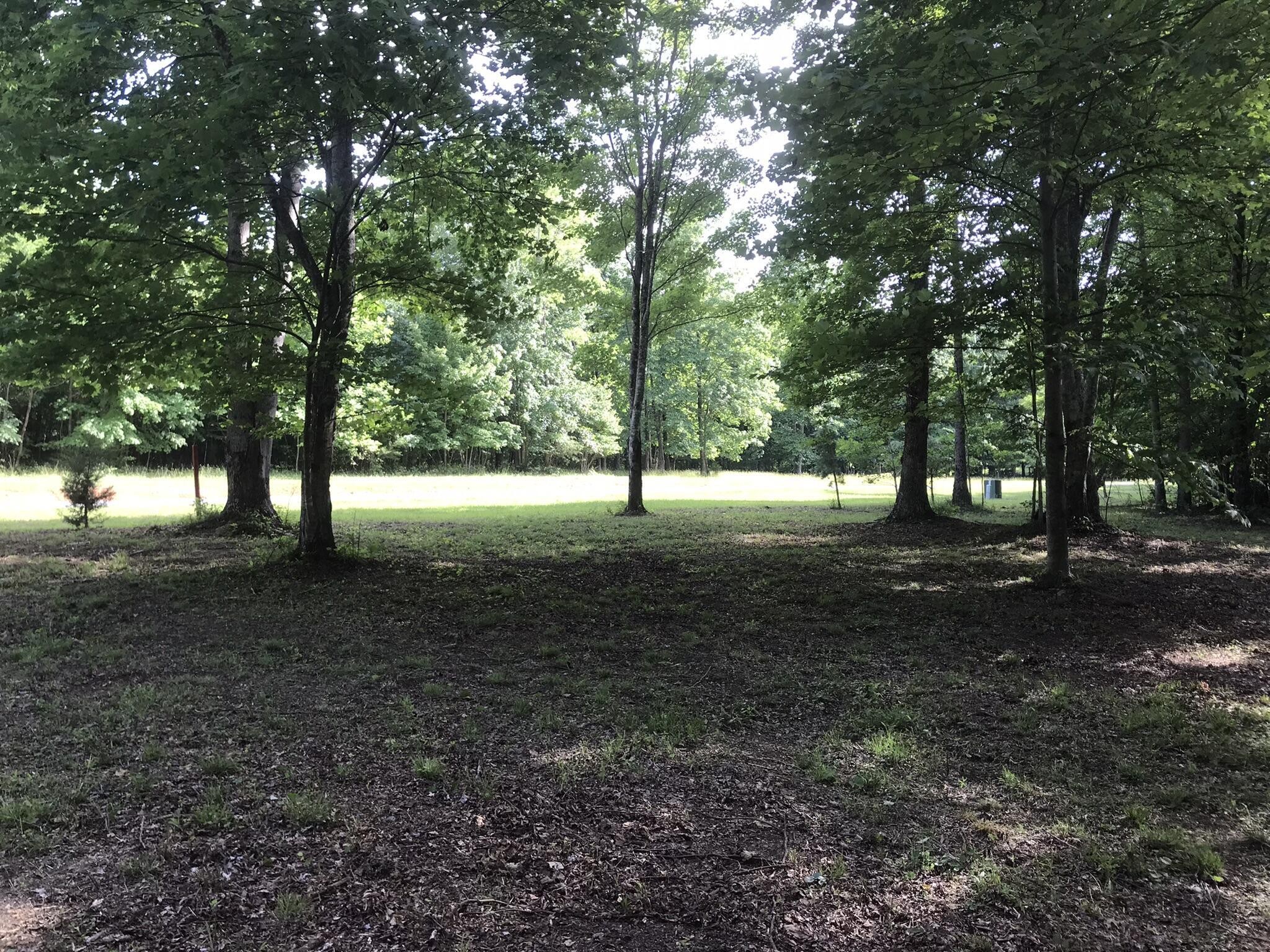 503 Wilderness Way Dunlap, TN 37327 - Photo 12 of 22