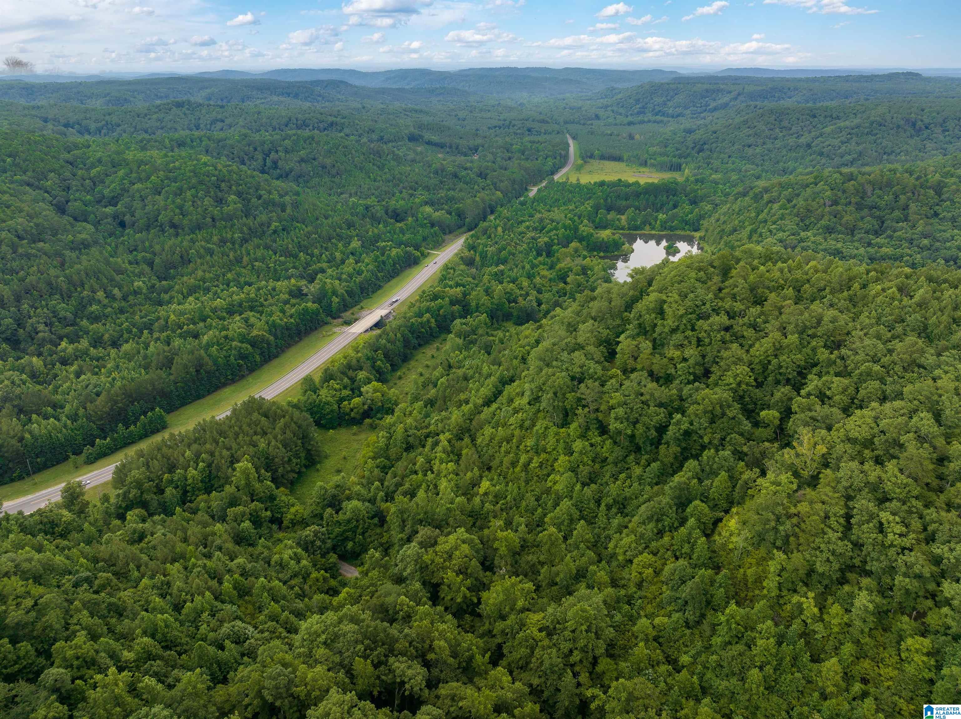 81 Frozen Hollow Road, Unit 32 Carbon Hill, AL 35549 - Photo 6 of 42