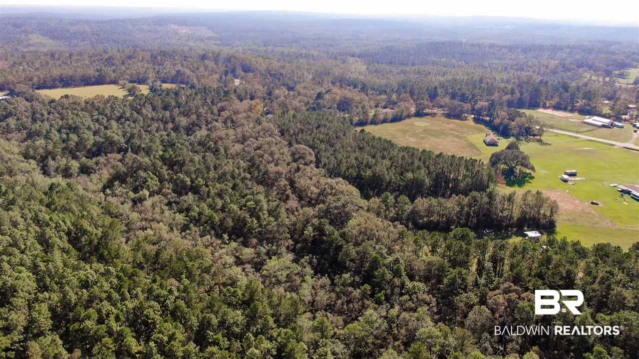 10685 John Little Road Bay Minette, AL 36507 - Photo 11 of 16
