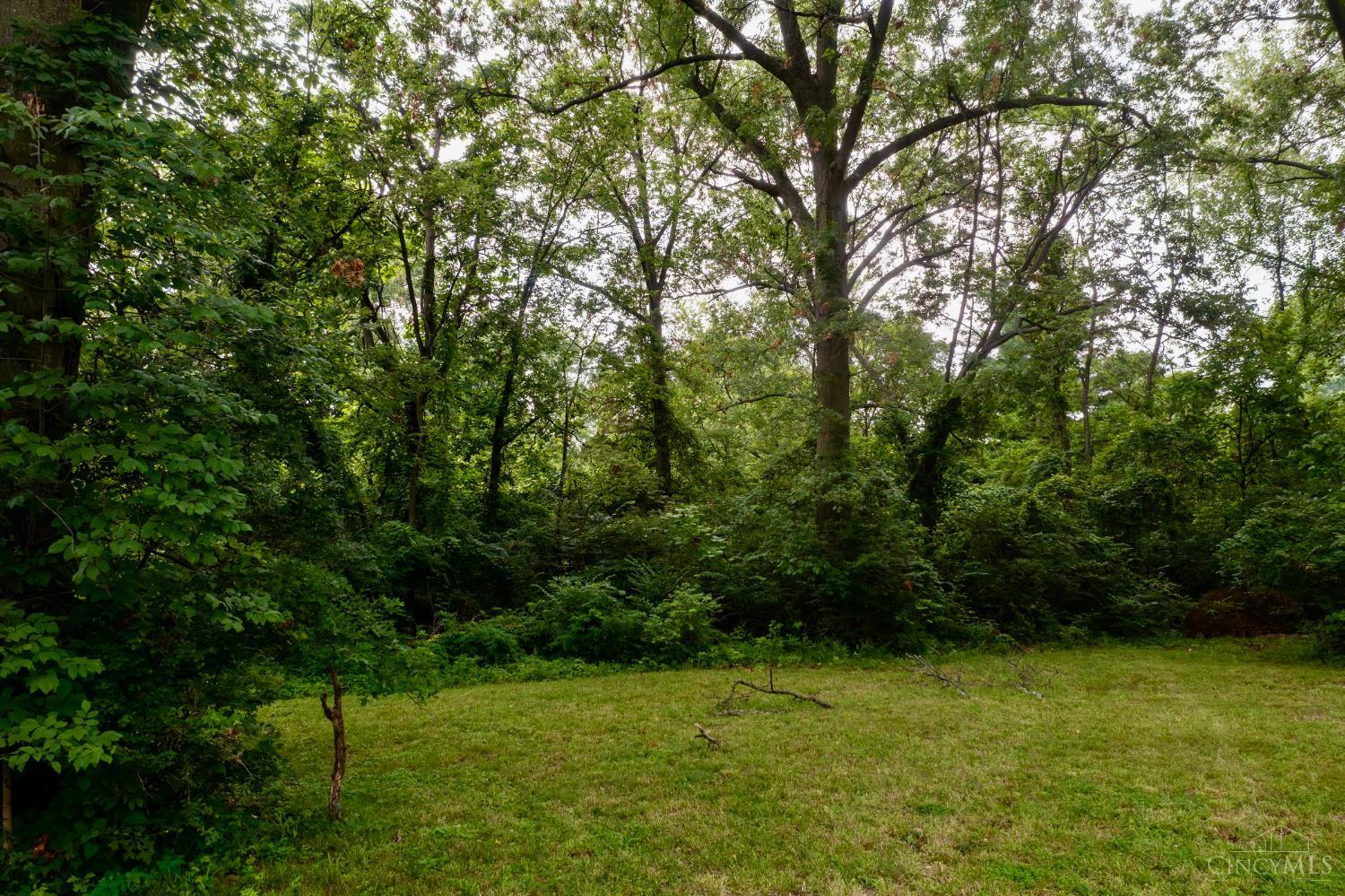 288-ac Buckwheat Road Milford, OH 45150 - Photo 4 of 7