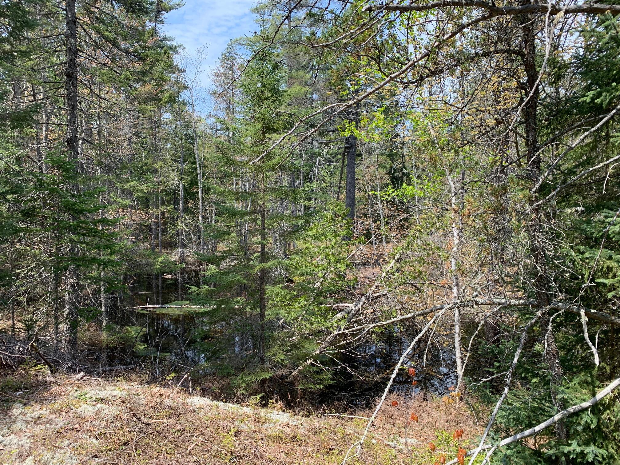 33908 West Betsy River Road Paradise, MI 49768 - Photo 14 of 14 Gallery Image 14