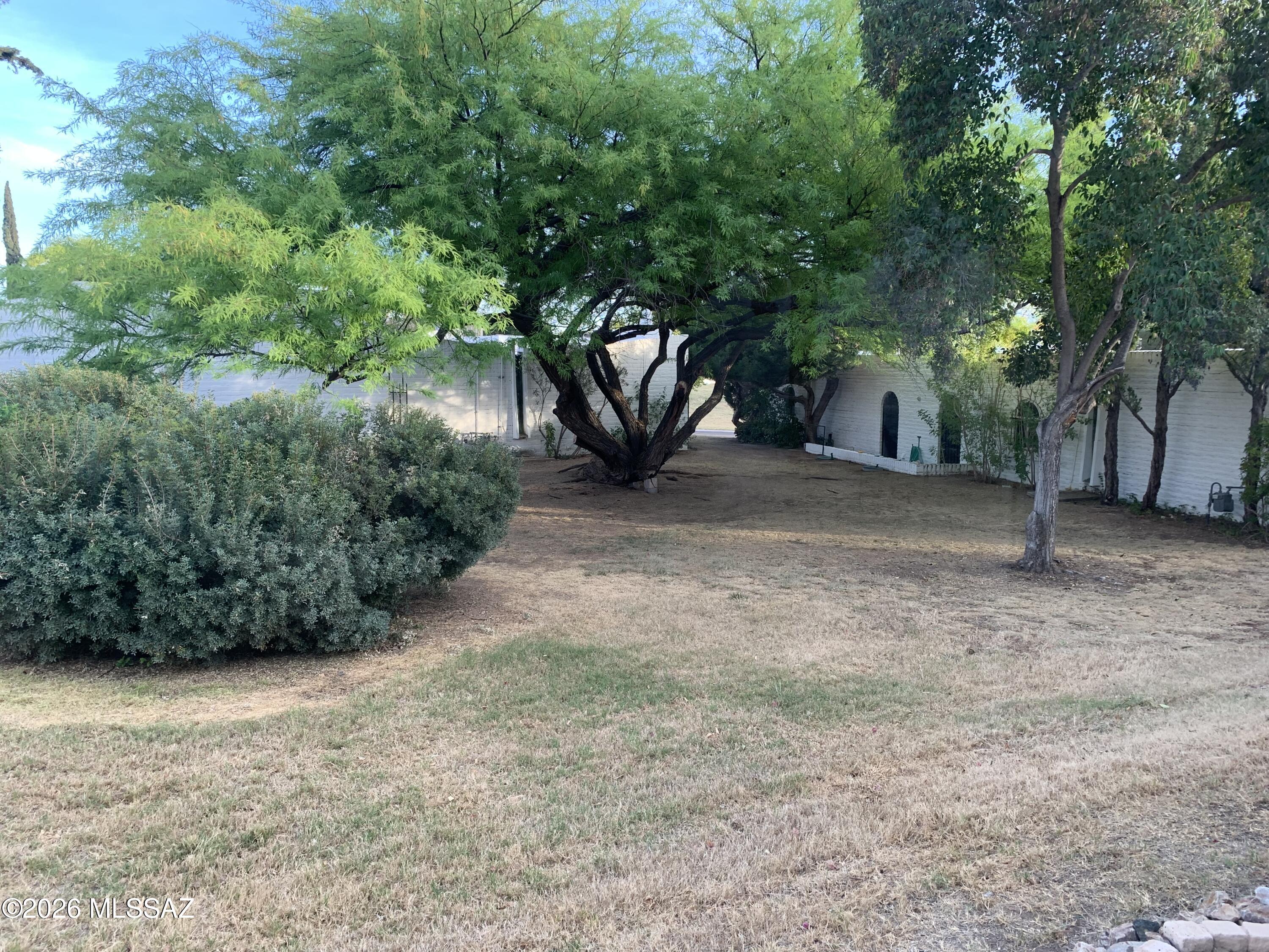 719 West Las Lomitas Road Tucson, AZ 85704 - Photo 15 of 44 a view of a yard with plants and trees