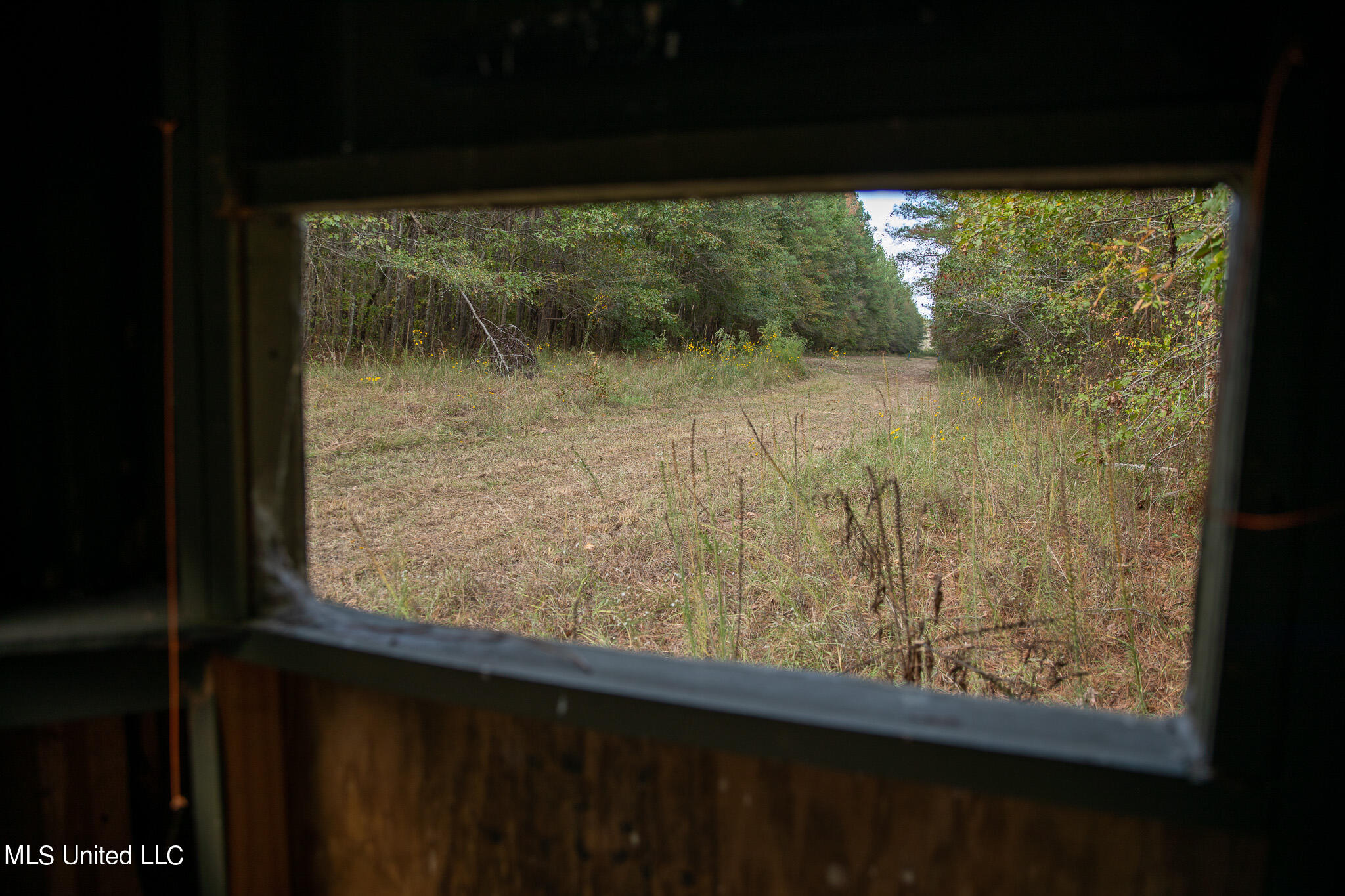 Rock Hill Road Braxton, MS 39044 - Photo 11 of 43 C55A4742