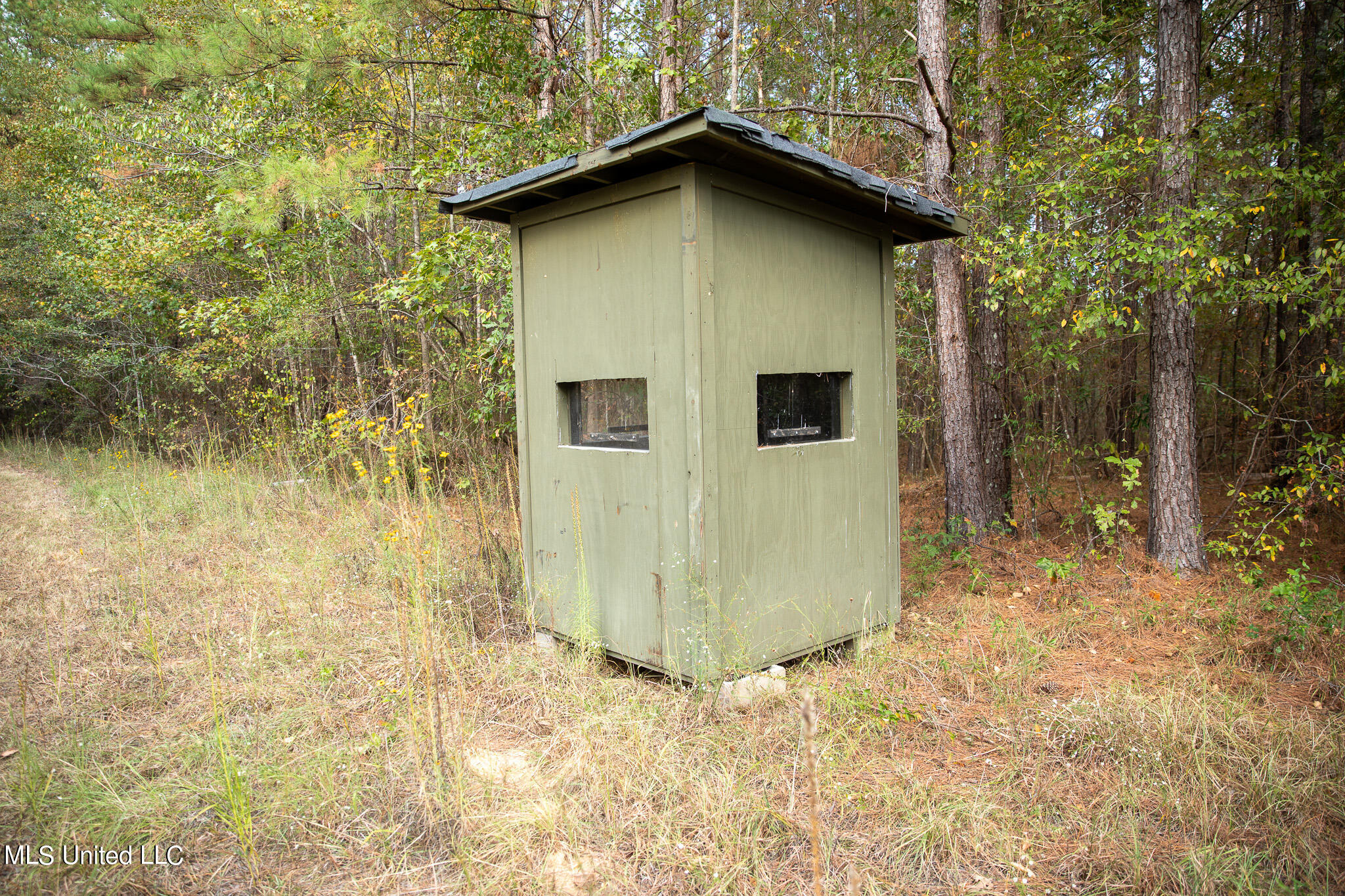 Rock Hill Road Braxton, MS 39044 - Photo 13 of 43 C55A4744