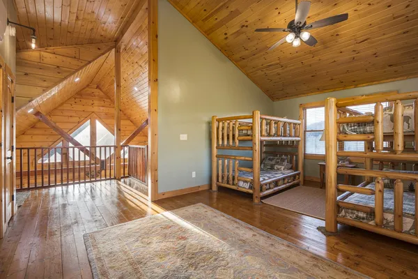 a view of a yard in a forest