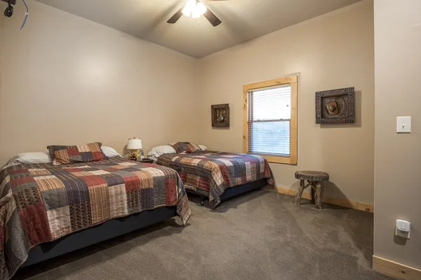 a view of a dry yard with trees