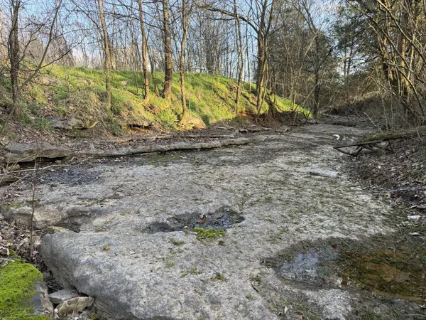 $2,549,000 | 1565 Old Elkton Pike, Dellrose, TN 38453