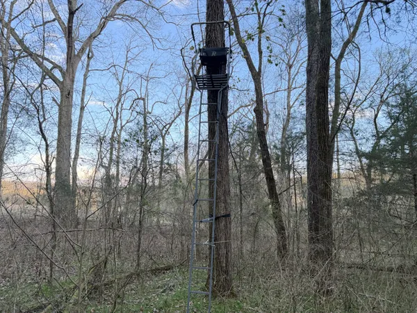 $2,549,000 | 1565 Old Elkton Pike, Dellrose, TN 38453