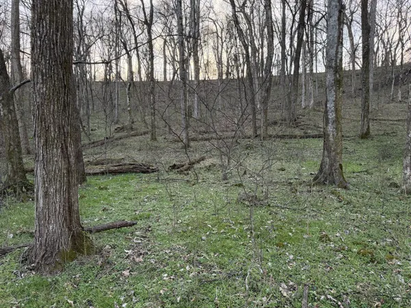 $2,549,000 | 1565 Old Elkton Pike, Dellrose, TN 38453