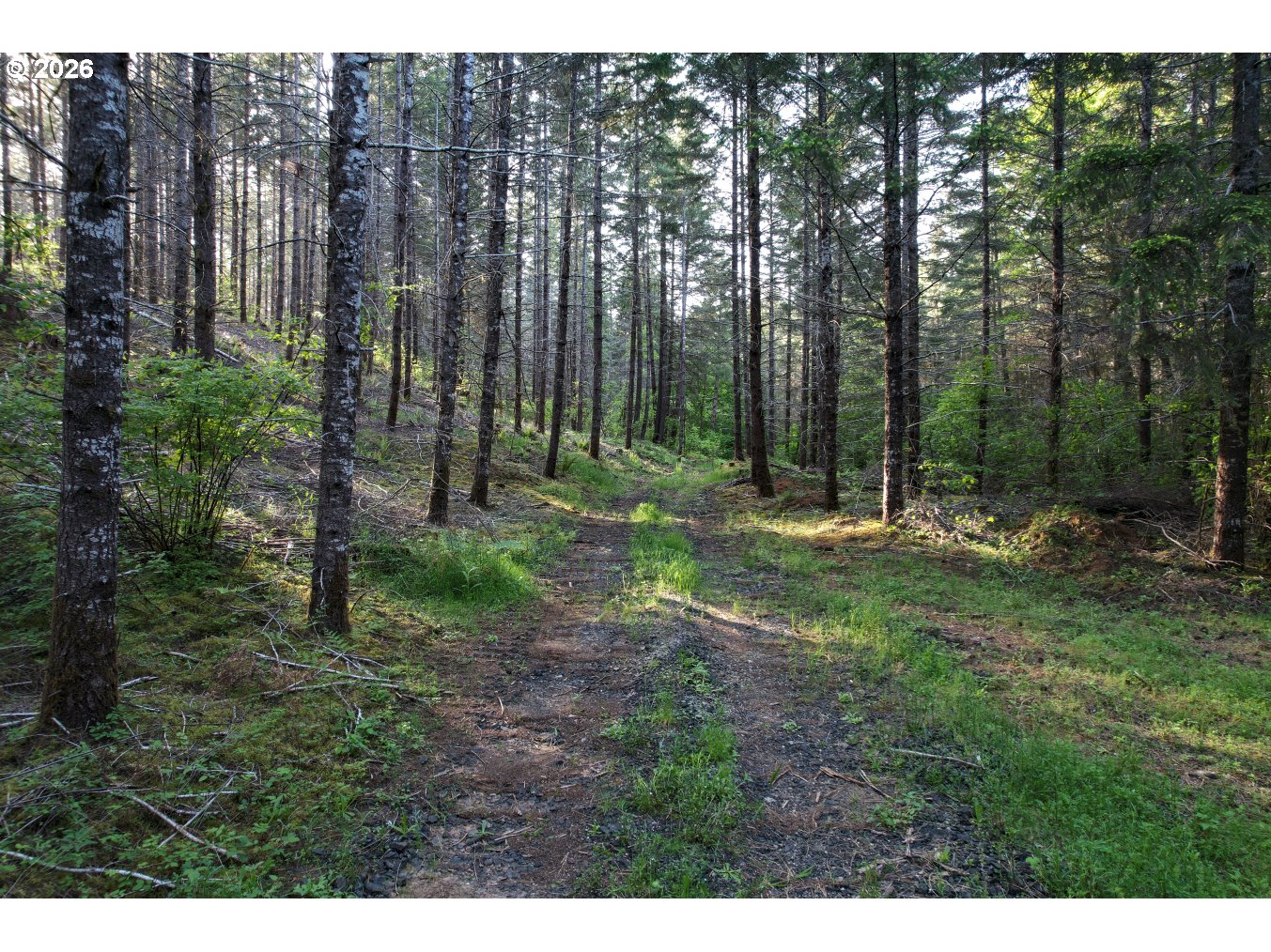 0 Ervin Road Philomath, OR 97370 - Photo 6 of 9 a view of outdoor space with green field and trees