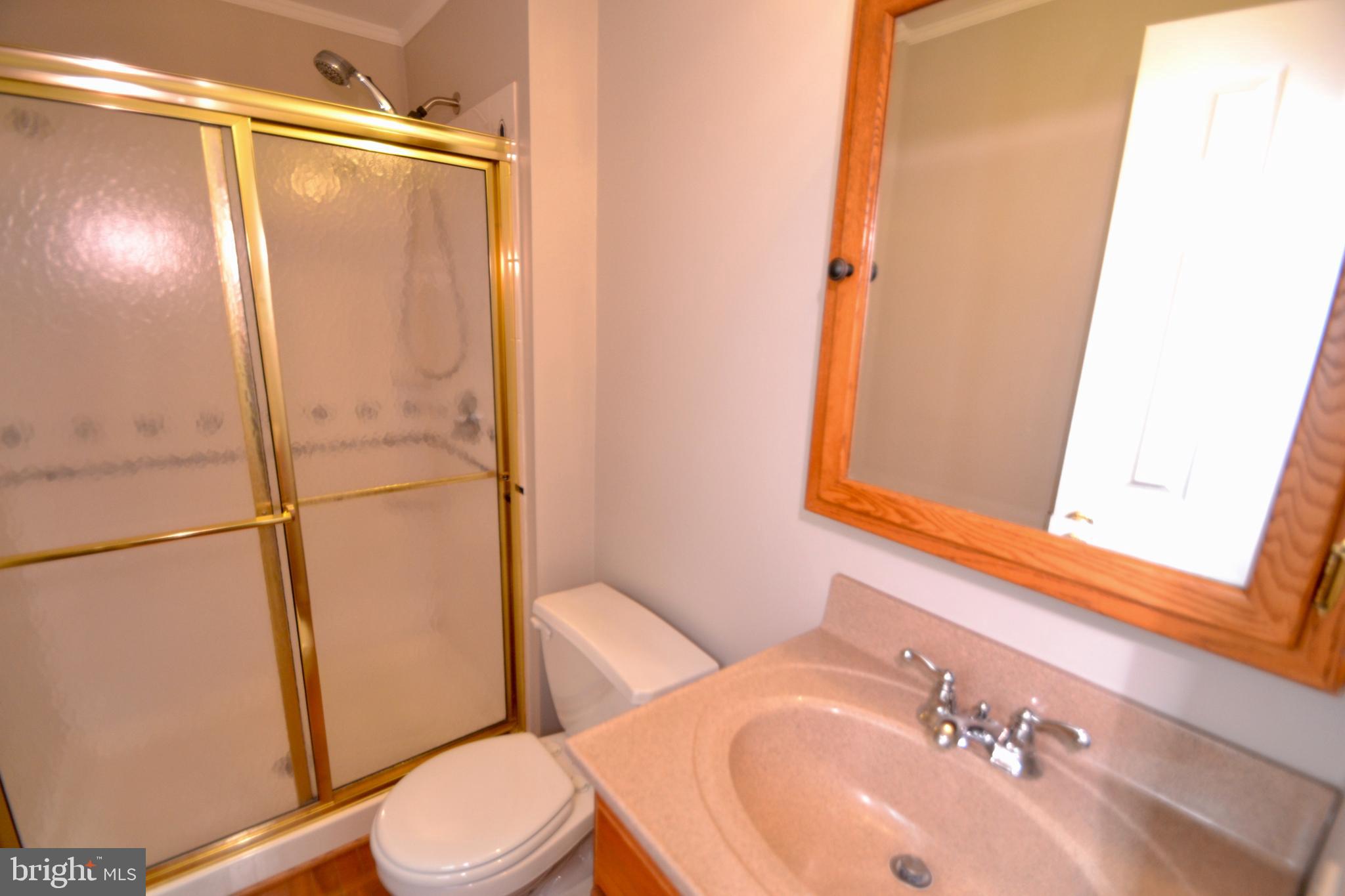 416 Lees Mill Road Hampstead, MD 21074 - Photo 13 of 37 Primary Bathroom