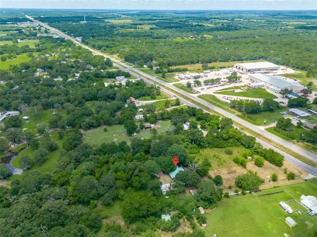 a view of a tree in a yard
