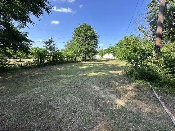 a view of a forest from a yard