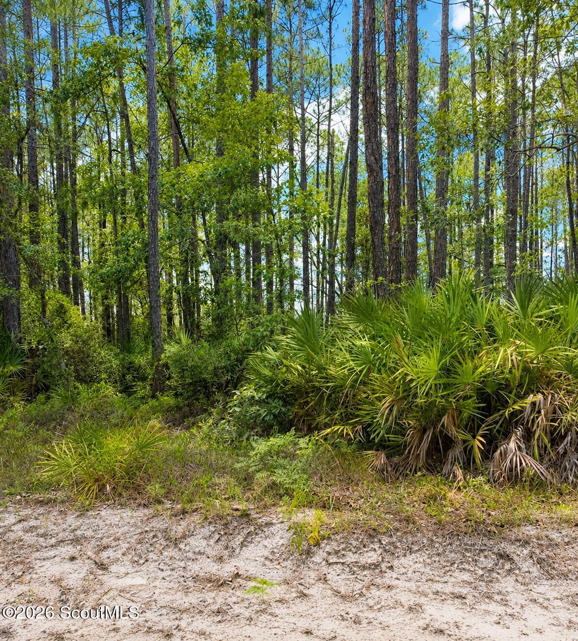 0 Baker Creek Road Nahunta, GA 31553 - Photo 1 of 2