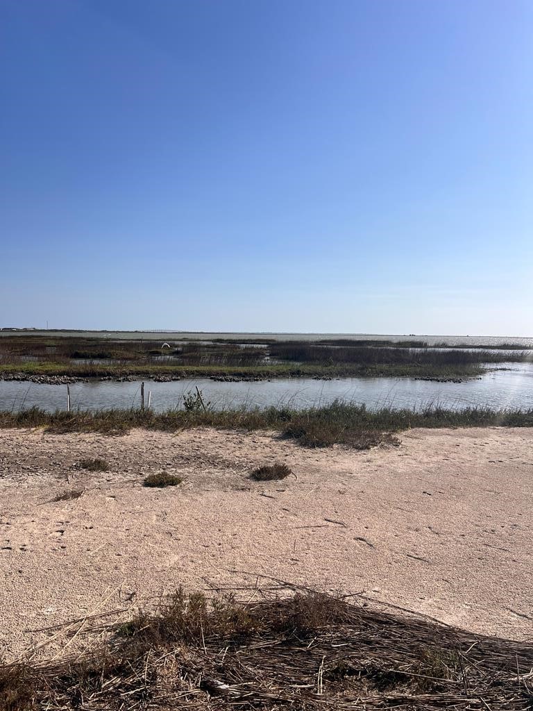 74 Newcomb Bend Loop Rockport, TX 78382 - Photo 31 of 31 a view of an ocean beach