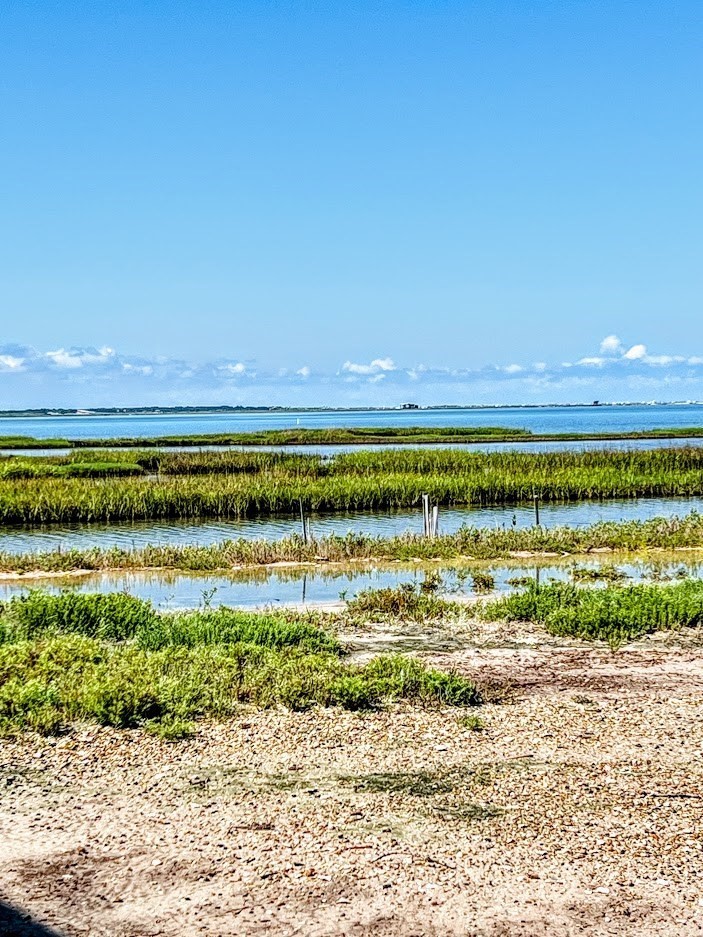 74 Newcomb Bend Loop Rockport, TX 78382 - Photo 4 of 31 a view of an ocean and beach