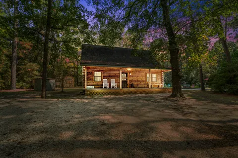 a view of a trees in a yard