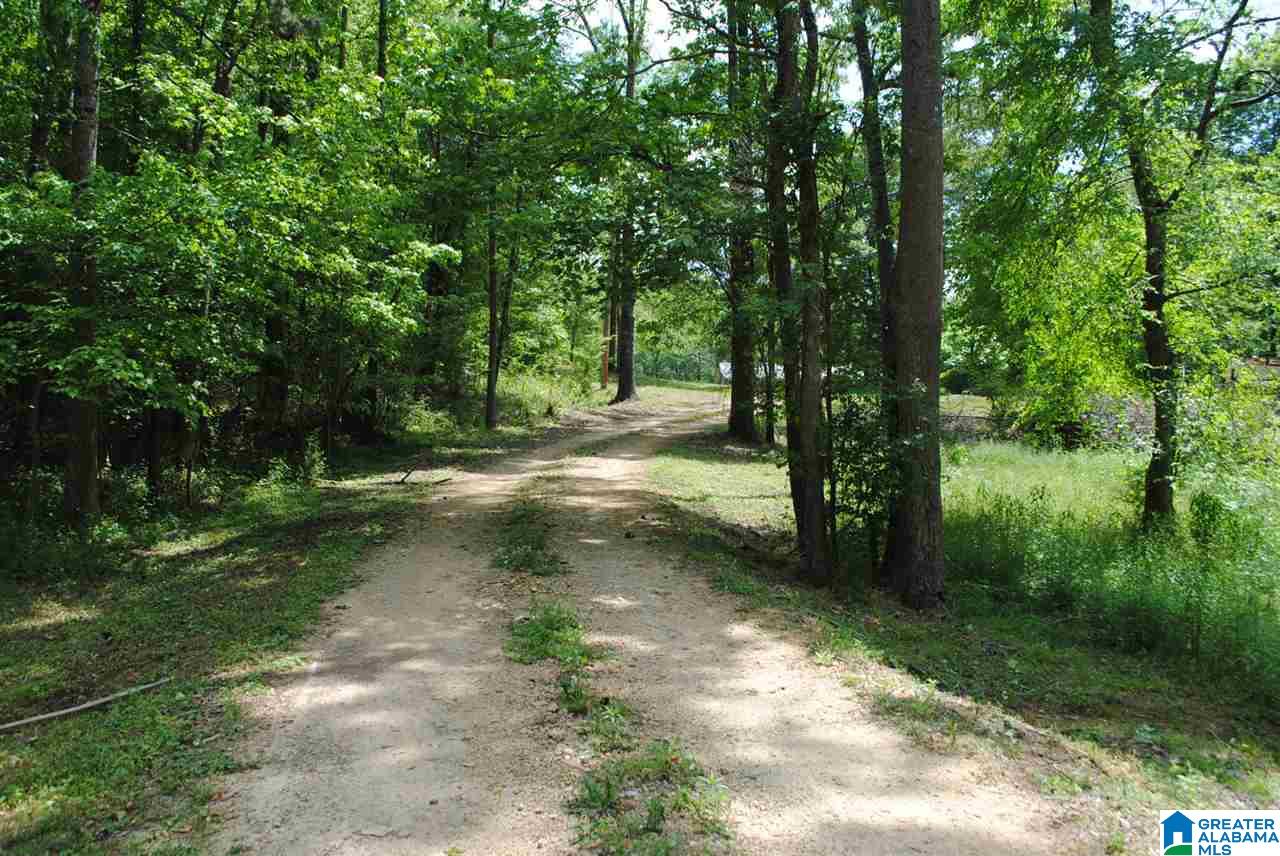 794 Cherokee Road Pell City, AL 35128 - Photo 3 of 13